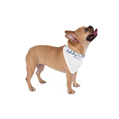 Pet Gear