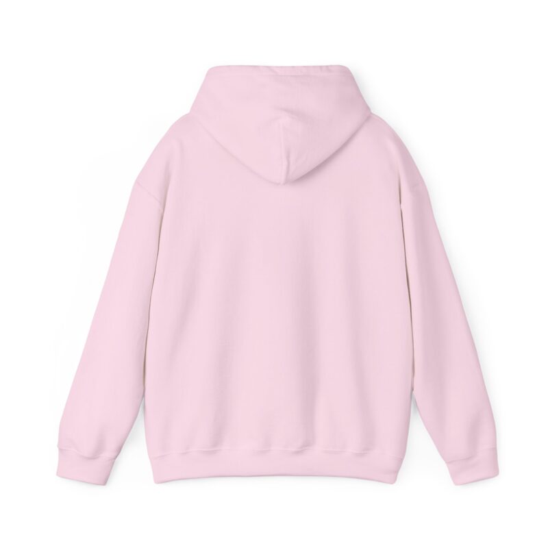 Ashley Falls School Spirit Hoodie - Image 38