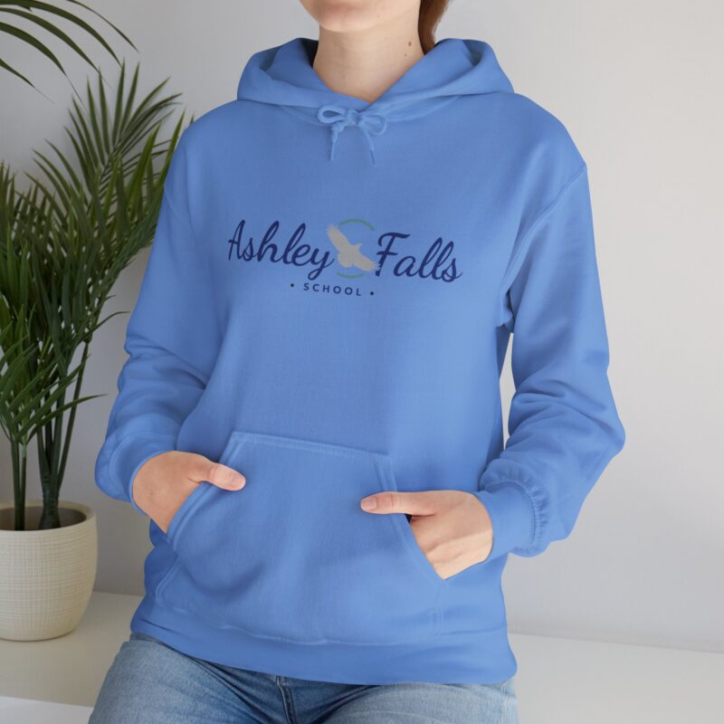 Ashley Falls School Spirit Hoodie - Image 6