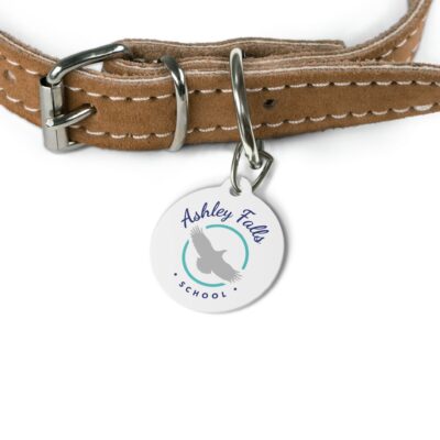 Ashley Falls Eagles Pet Tag for Dogs and Cats