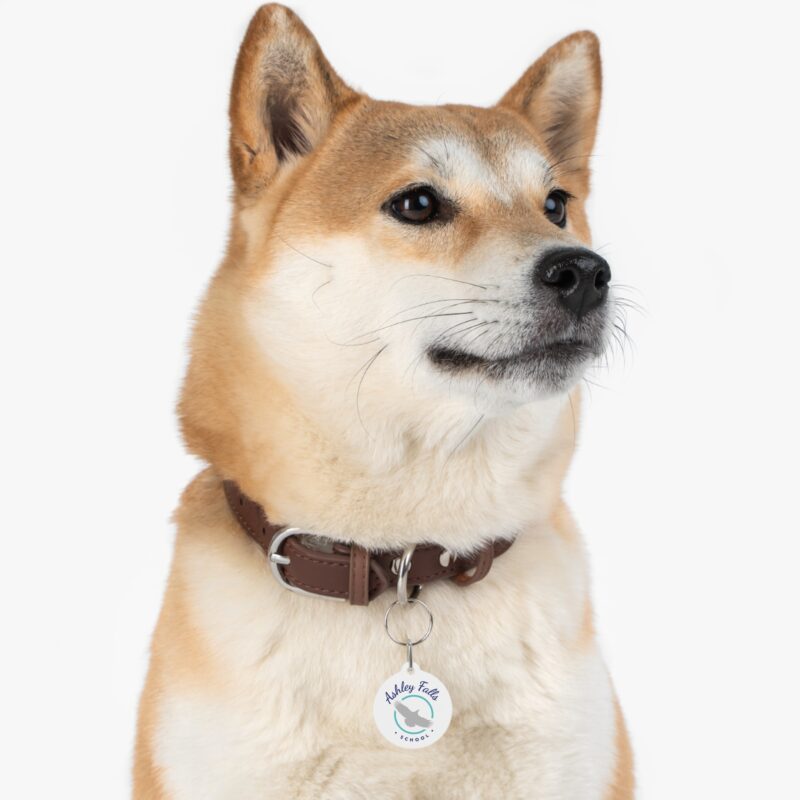 Ashley Falls Eagles Pet Tag for Dogs and Cats - Image 5