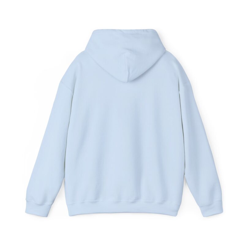 Ashley Falls School Spirit Hoodie - Image 11