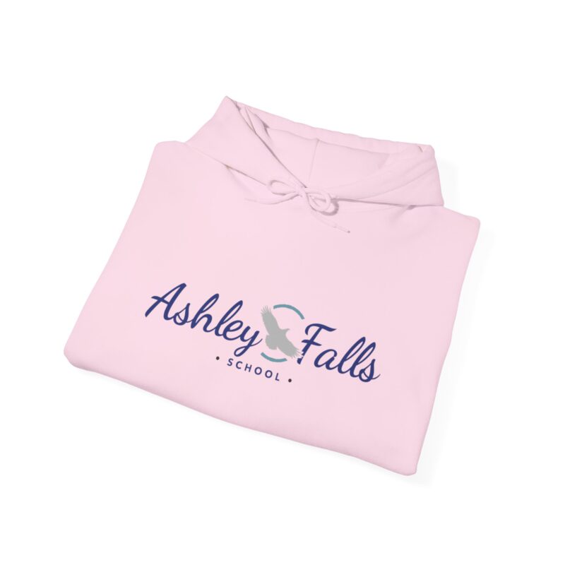 Ashley Falls School Spirit Hoodie - Image 39