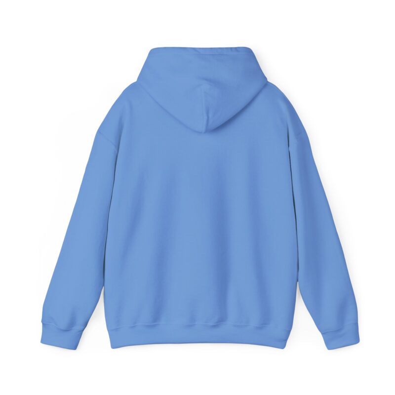 Ashley Falls School Spirit Hoodie - Image 2