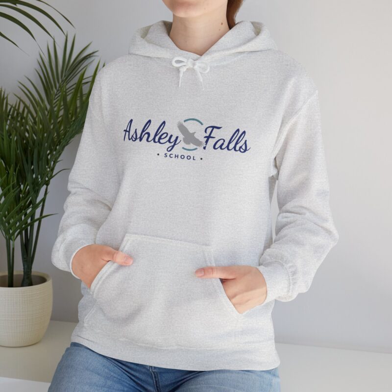 Ashley Falls School Spirit Hoodie - Image 33