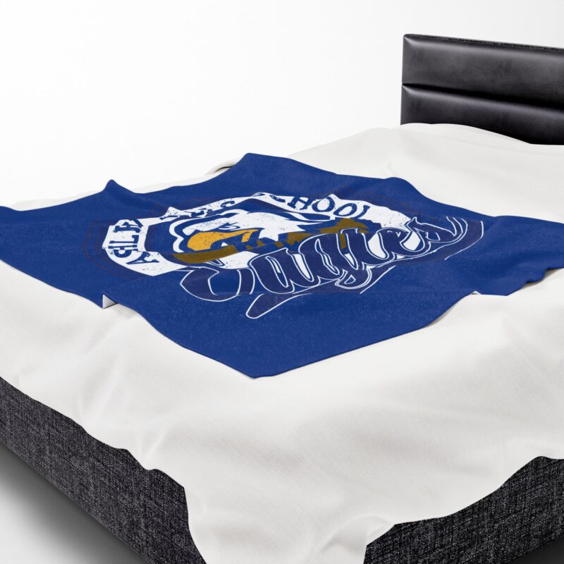 Cozy Ashley Falls Eagles Plush Blanket - Image 6