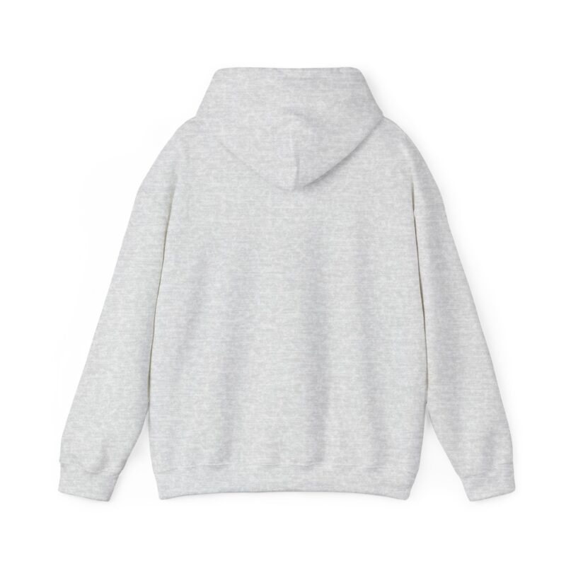 Ashley Falls School Spirit Hoodie - Image 29